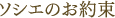 �\�V�G�̂���