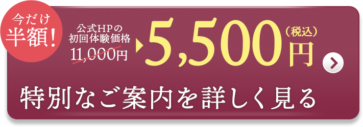 特別なご案内を詳しく見る