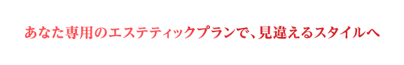 あなた専用のエステティックプランで、見違えるスタイルへ