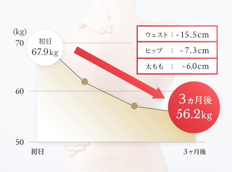 ウエスト：-15.5cm ヒップ：-7.3cm 太もも：-6.0cm