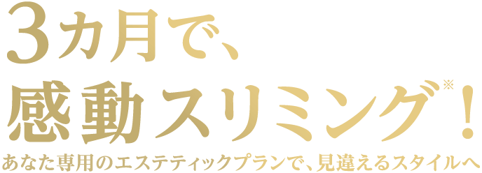 痩身エステ・ダイエットエステで短期集中で痩せるなら！ スタイルアップチャレンジャー - ソシエのエステ